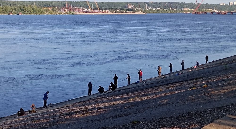 Photograph by Елена Смирнова