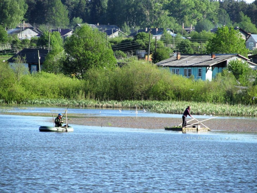 Фотография автора Неля