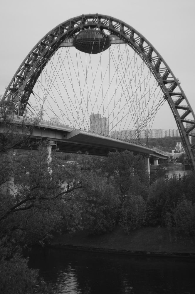 Photograph by Кудрявцев Александр