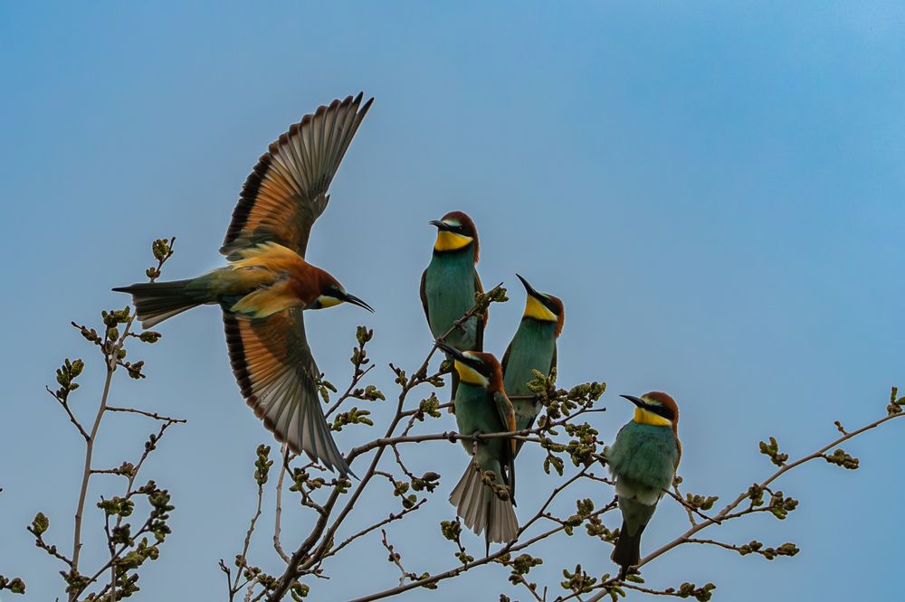 Photograph by Константин Желтышев