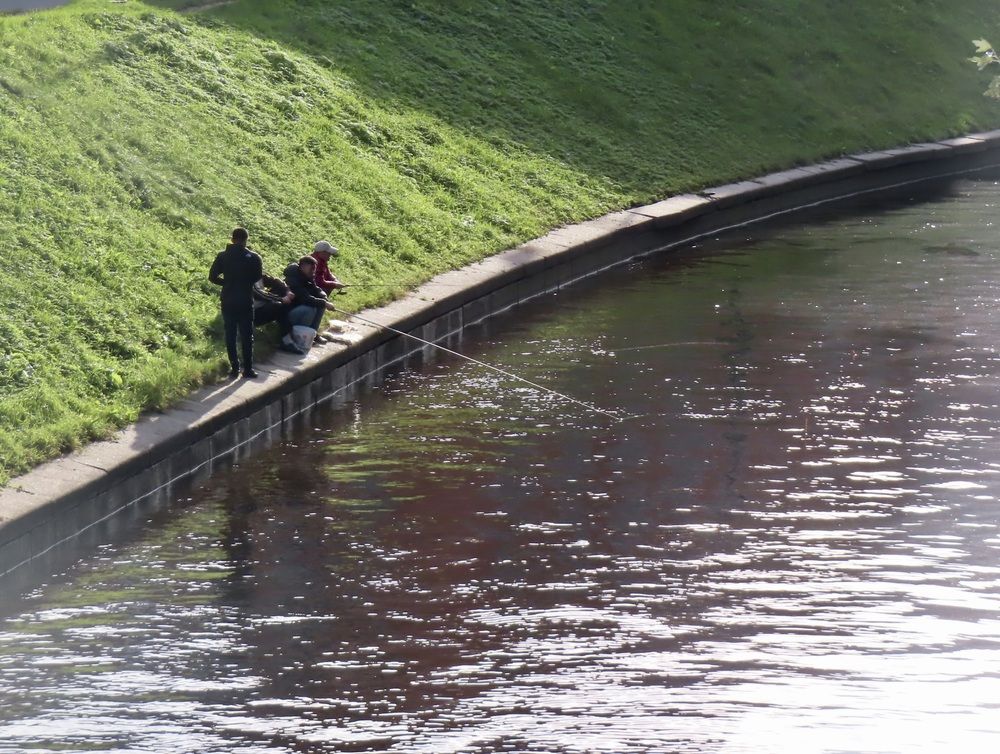 Photograph by Елена Жукова