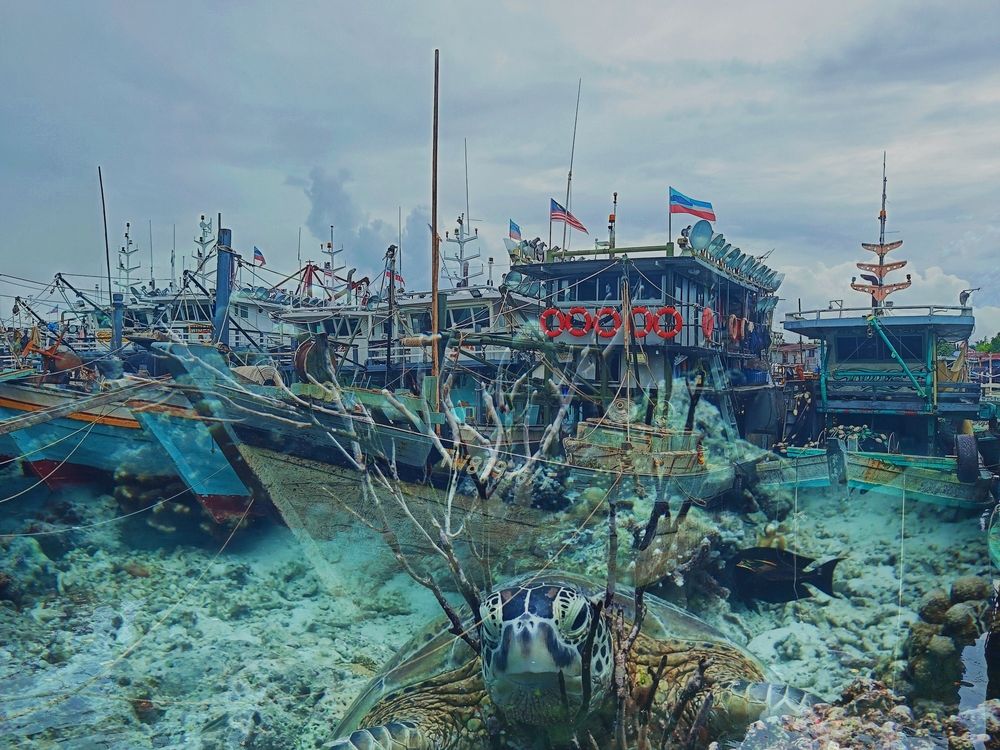 Photograph by Кирилл Леднев