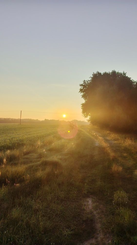 Photo #12413099