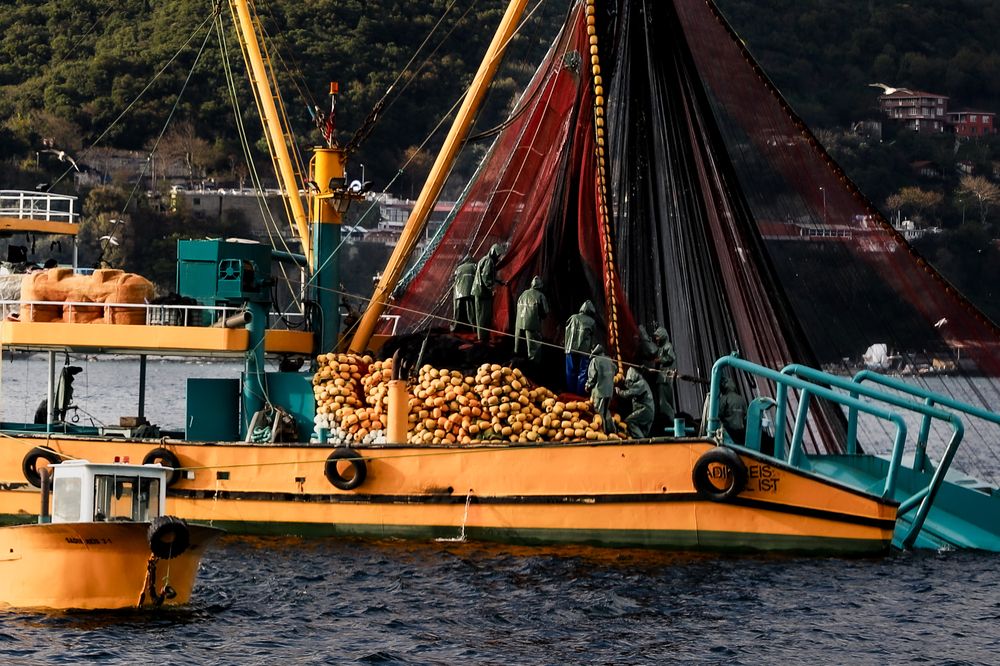 Photograph by ALIYE RAHSAN KARABETCA