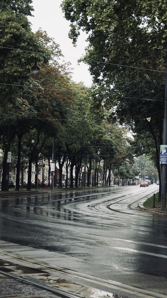 Photograph by Григоренко Семён