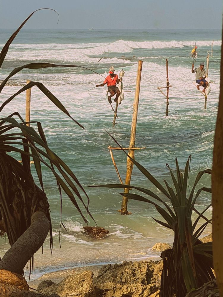 Фотография автора Евгения Никишина