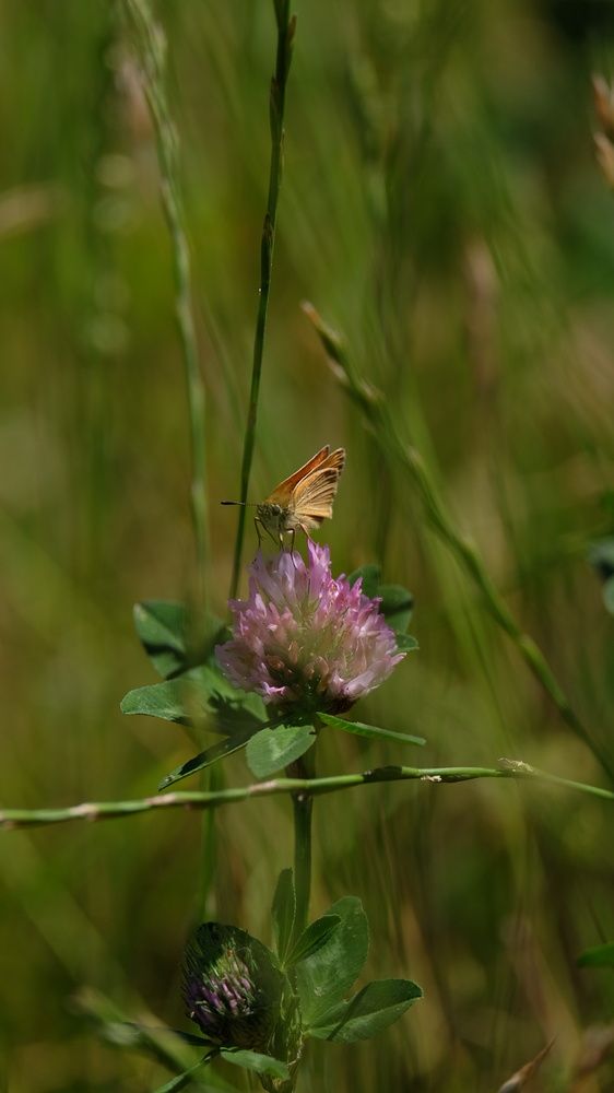 Photograph by Григоренко Семён