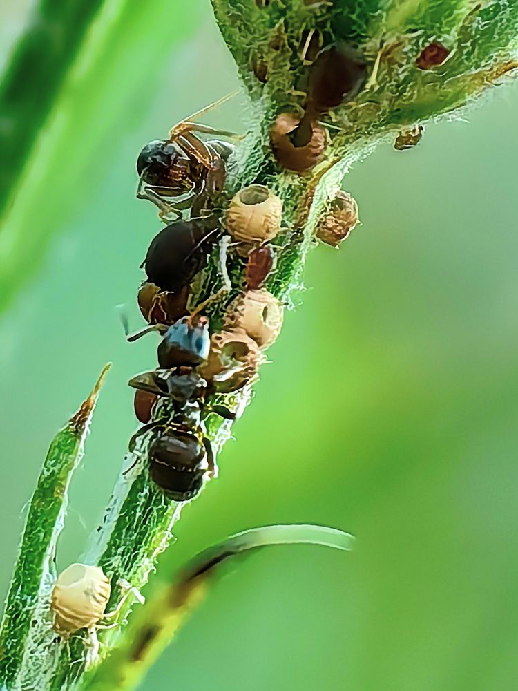 Photograph by Igor Maksimenko