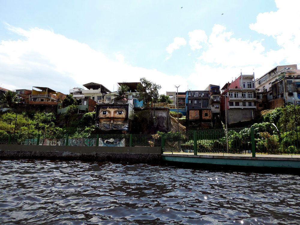 Looking at a river in the Amazon, Brazil