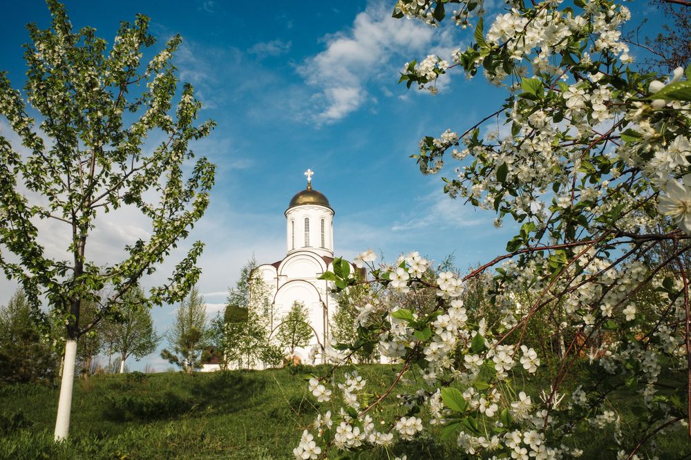 Photograph by Алла Никушкина
