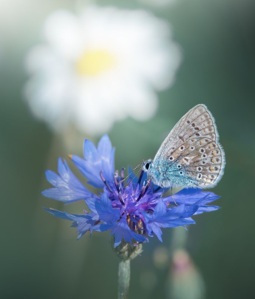 Photograph by Дарья