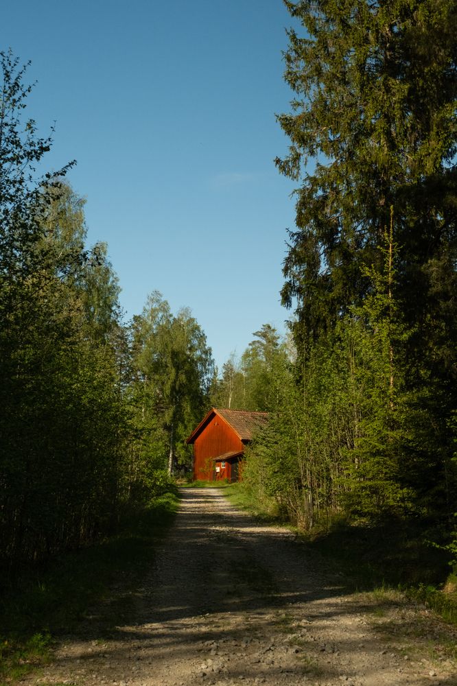 Photo #12413393