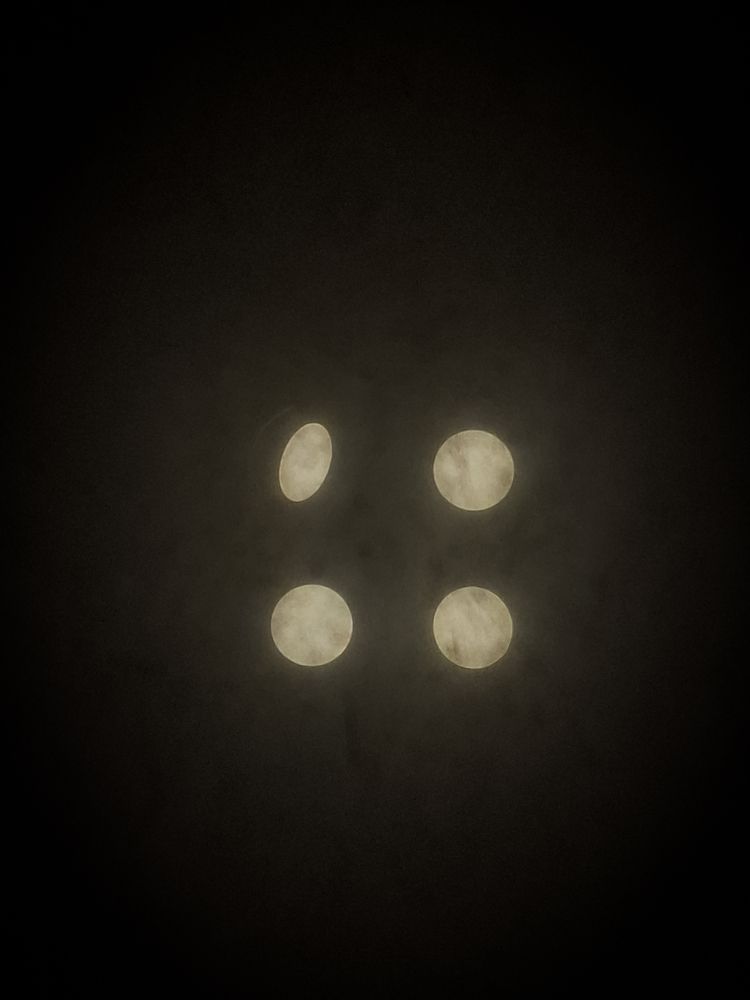 Photograph by Youstina Rowes