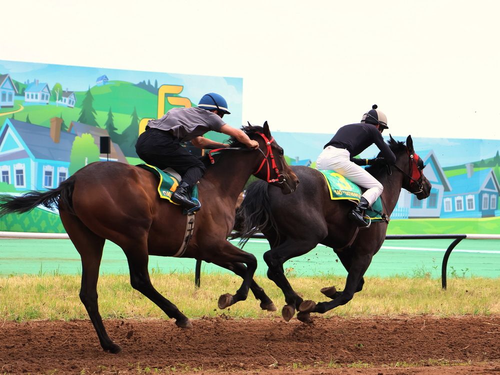 Photograph by Серёга Ануфриев