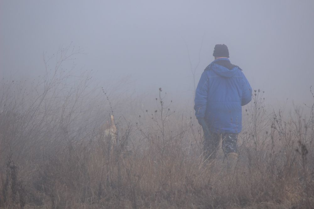 Photograph by Ирина Дмитриенко