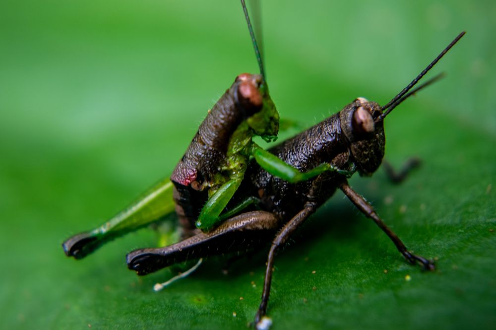 Фотография автора Jose Marcos Carvajal Tarazona