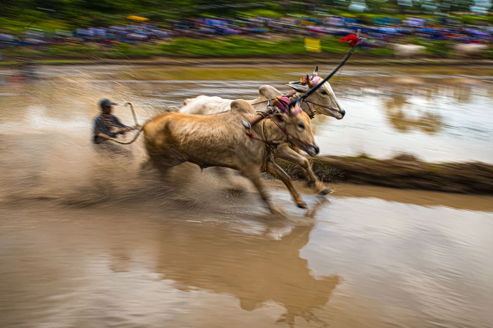 Photograph by Nguyen