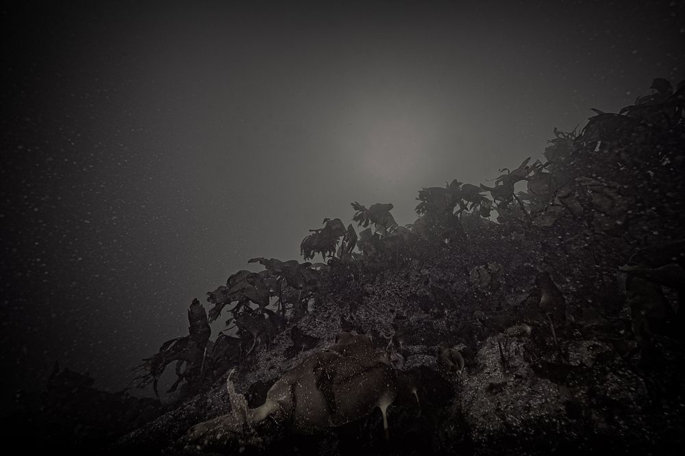 Photograph by Дмитрий Плотников