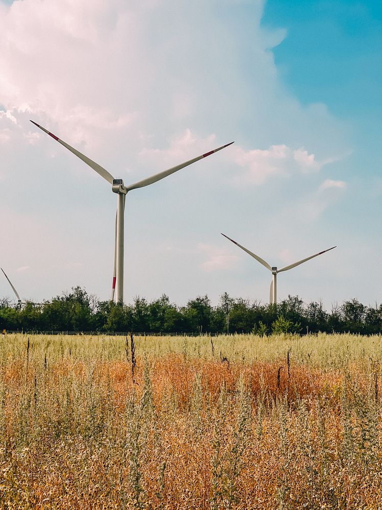 Photograph by Евгений Беляев