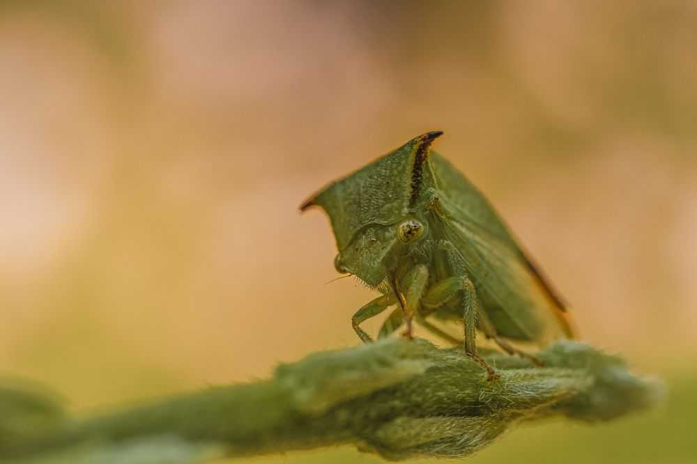 Photograph by Victoria Mogulyan