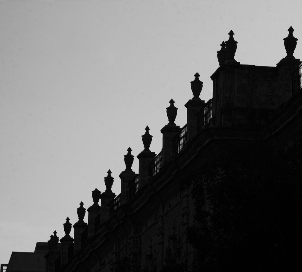 Photograph by Reinel Rodríguez Sánchez-Ossorio