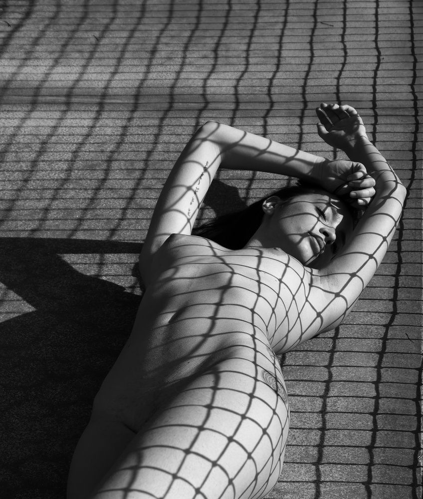 Photograph by Dimitar Denchev