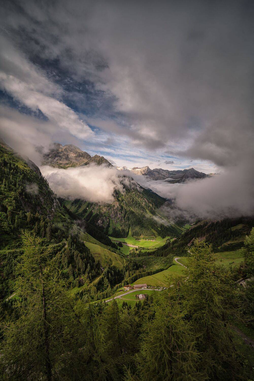 Photo #12414050