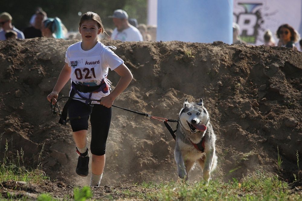Фотография автора Елена Кириллова