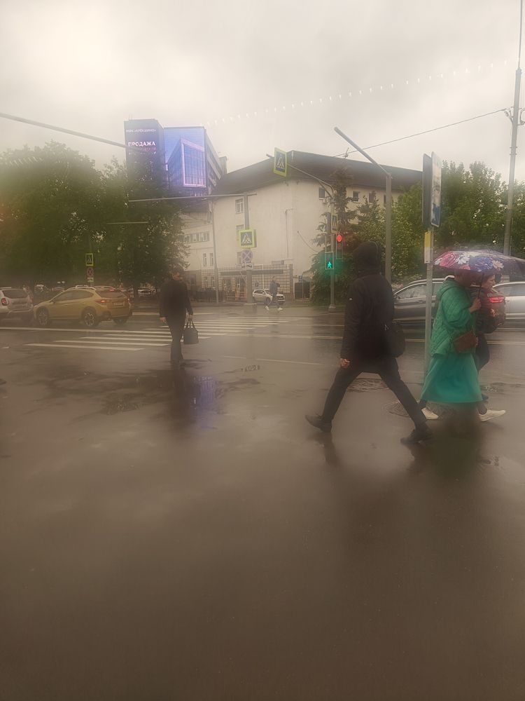 Photo #12414071