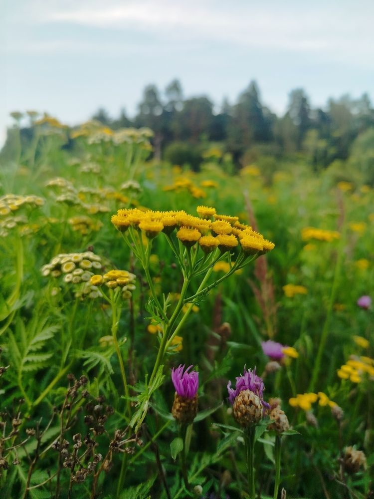Photograph by Евгения Семёнова