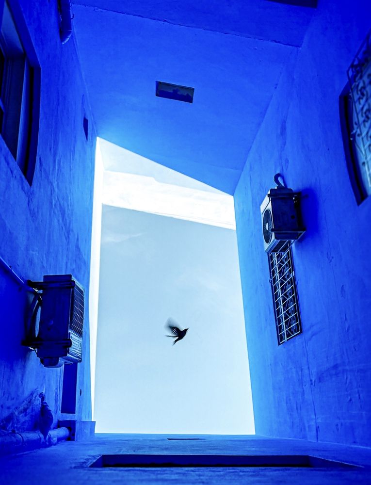 Marocco. How to catch the dream.