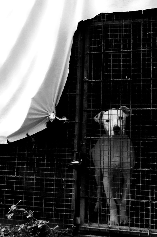 Photograph by fuat cimok