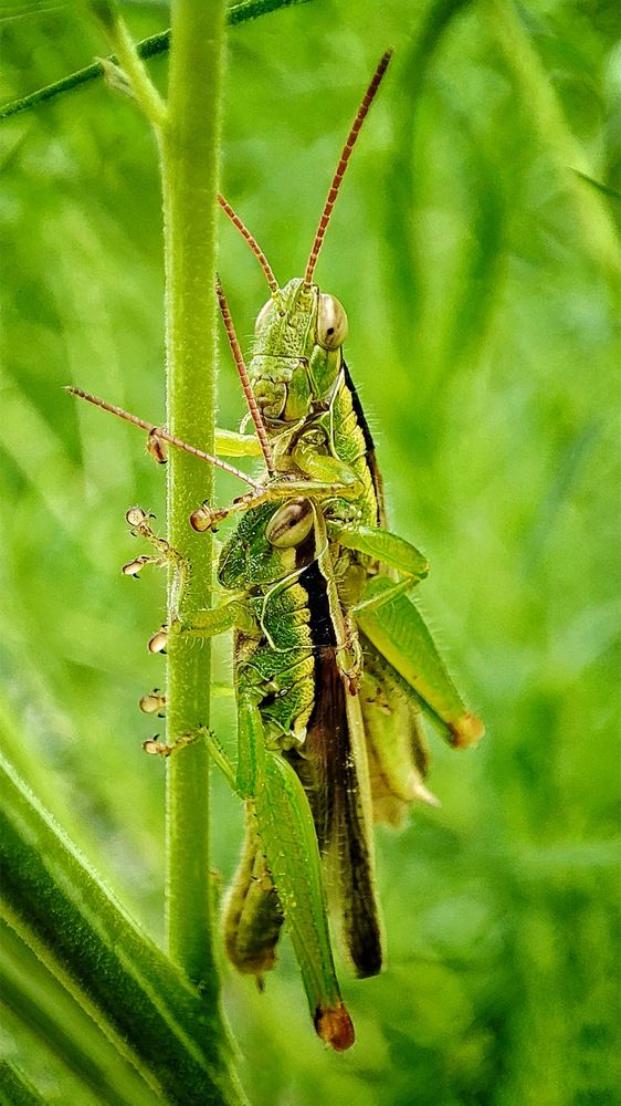 Photograph by Дина Желанова