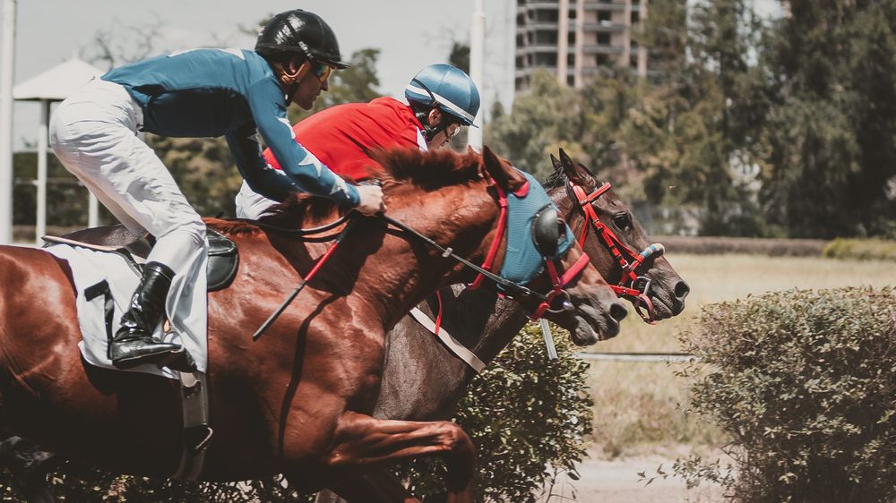 Фотография автора Кирилл Миркулов