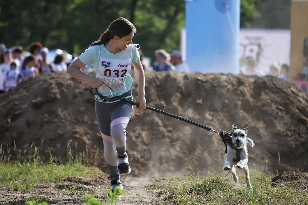 Фотография автора Елена Кириллова