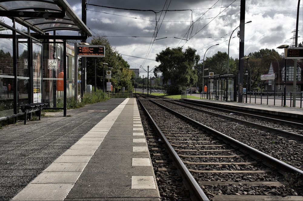 Фотография автора Nikolay Tatarchuk