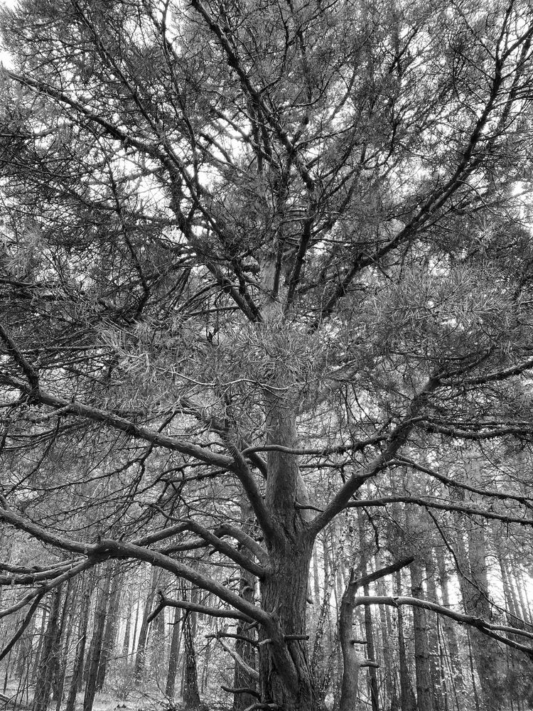 Photograph by Ульяна Красикова