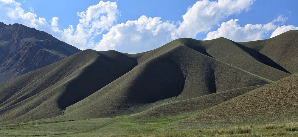 Фотография автора Ирина Сушко