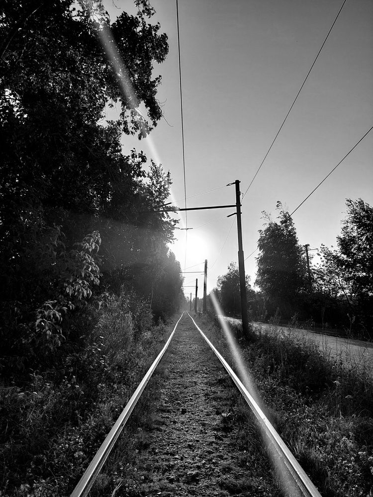 Фотография автора Анастасия Куликова