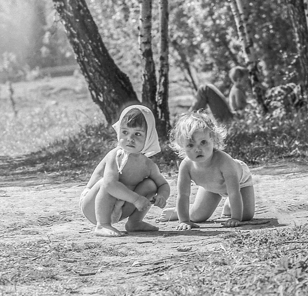 Photograph by Vladimir  Komarov