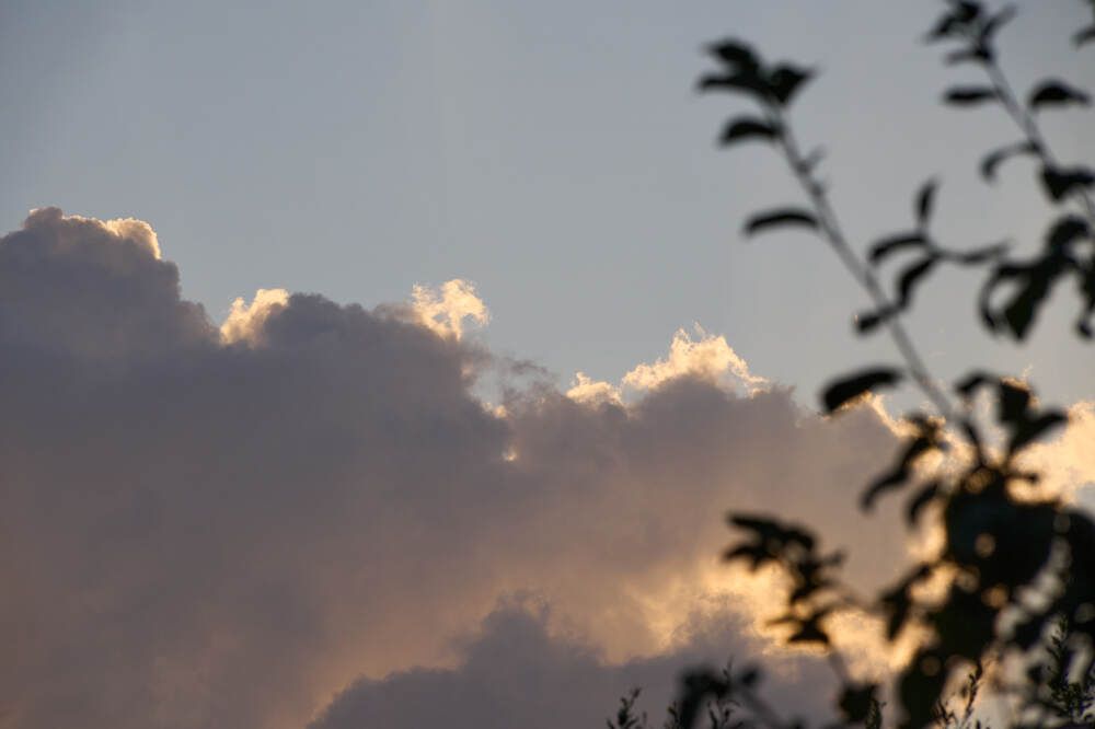 Фотография автора Dana Korolkova