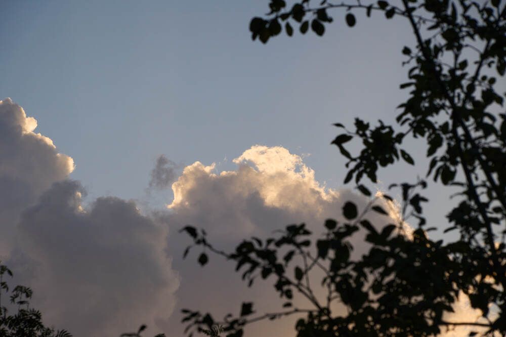 Фотография автора Dana Korolkova