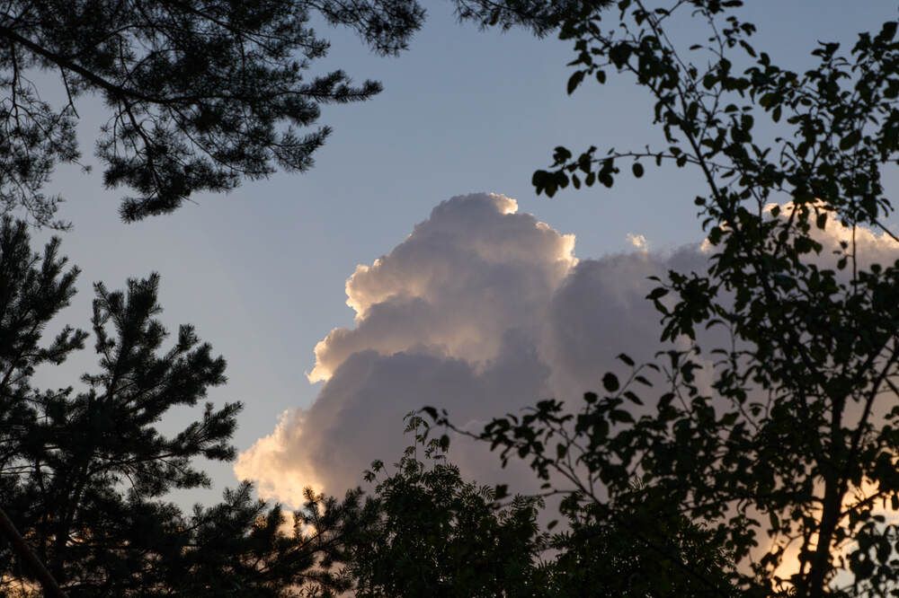 Фотография автора Dana Korolkova