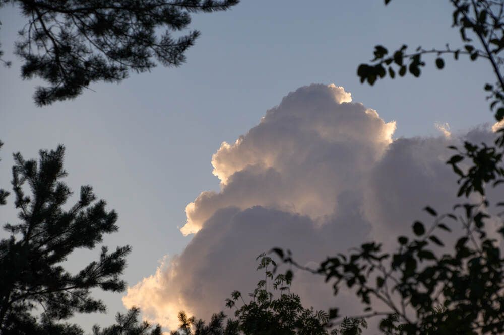 Фотография автора Dana Korolkova