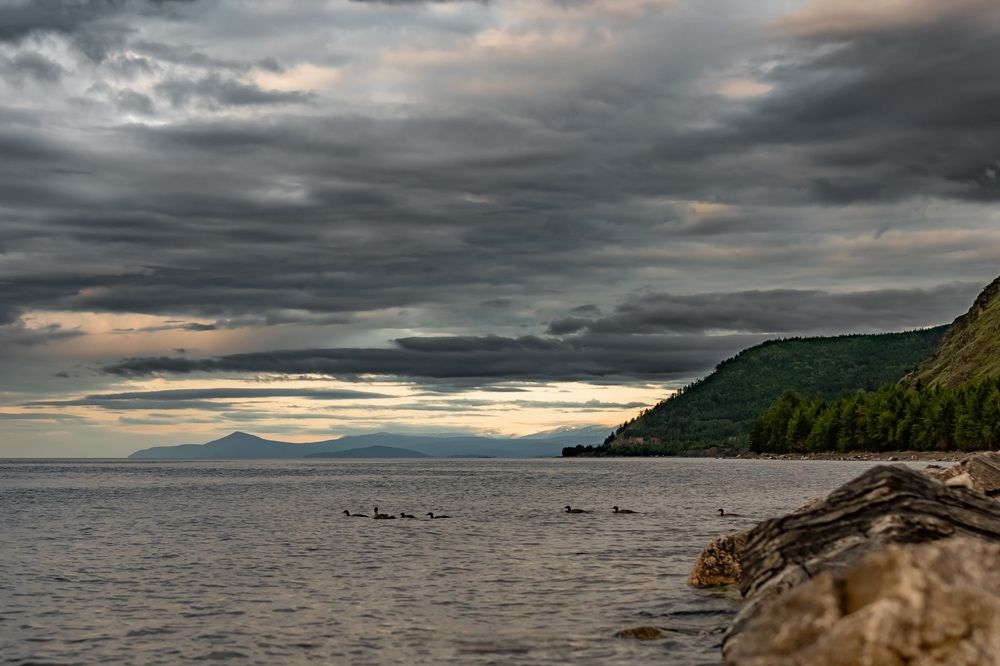 Photograph by Виктория Лобанова
