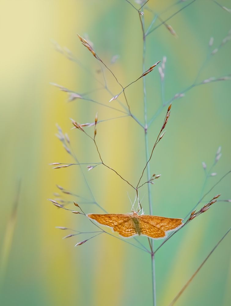 Photograph by Дарья