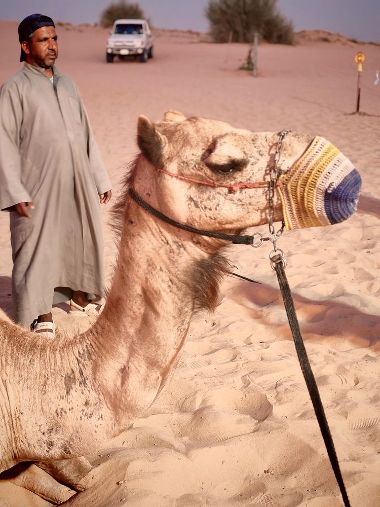 Photograph by Серёга Ануфриев