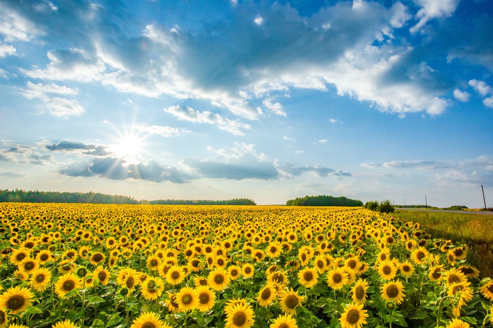 Photograph by Паша Савельев