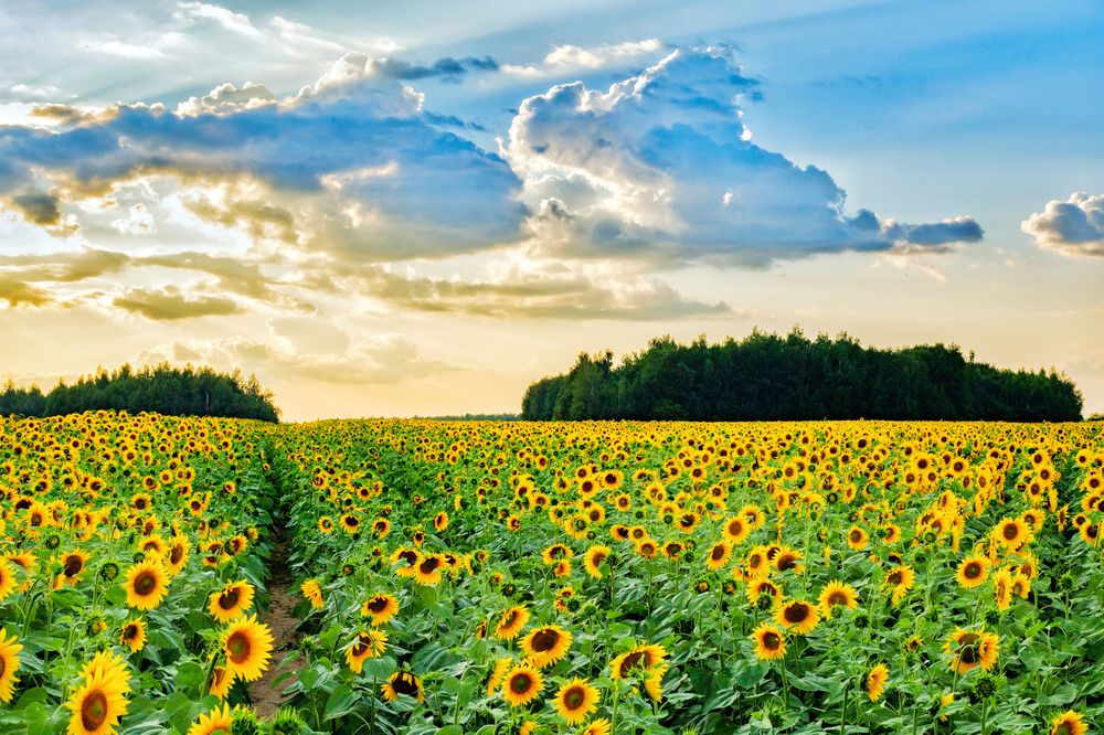 Photograph by Паша Савельев