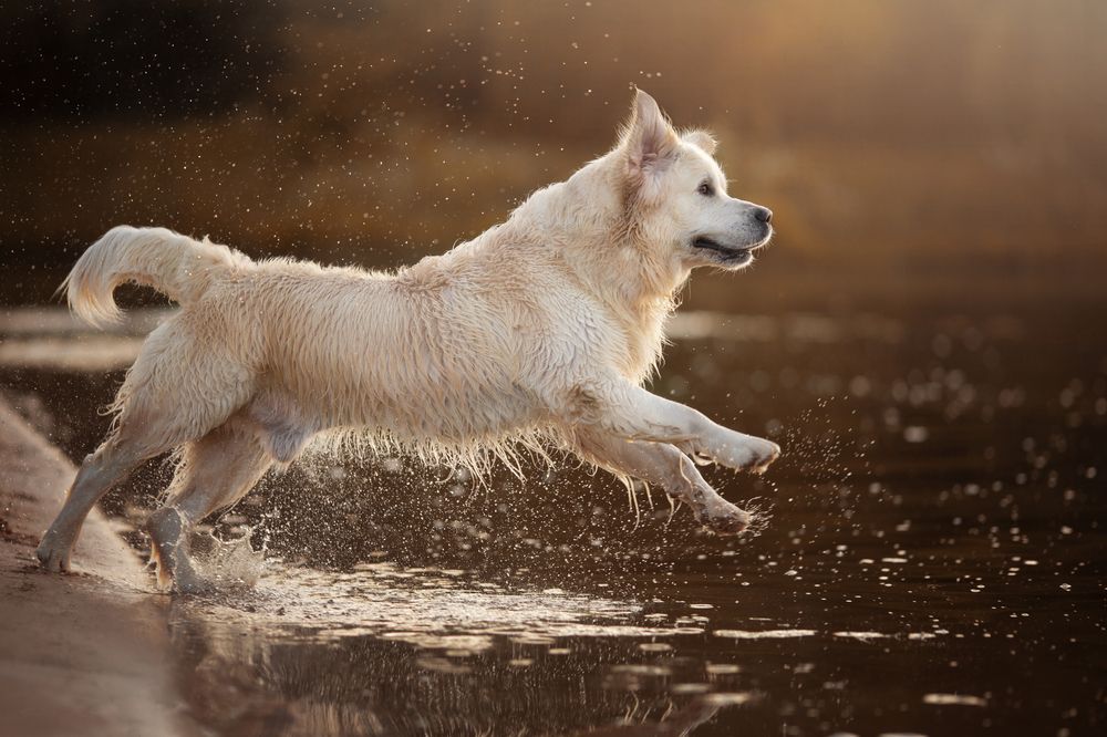 Photograph by Евгения Костусева